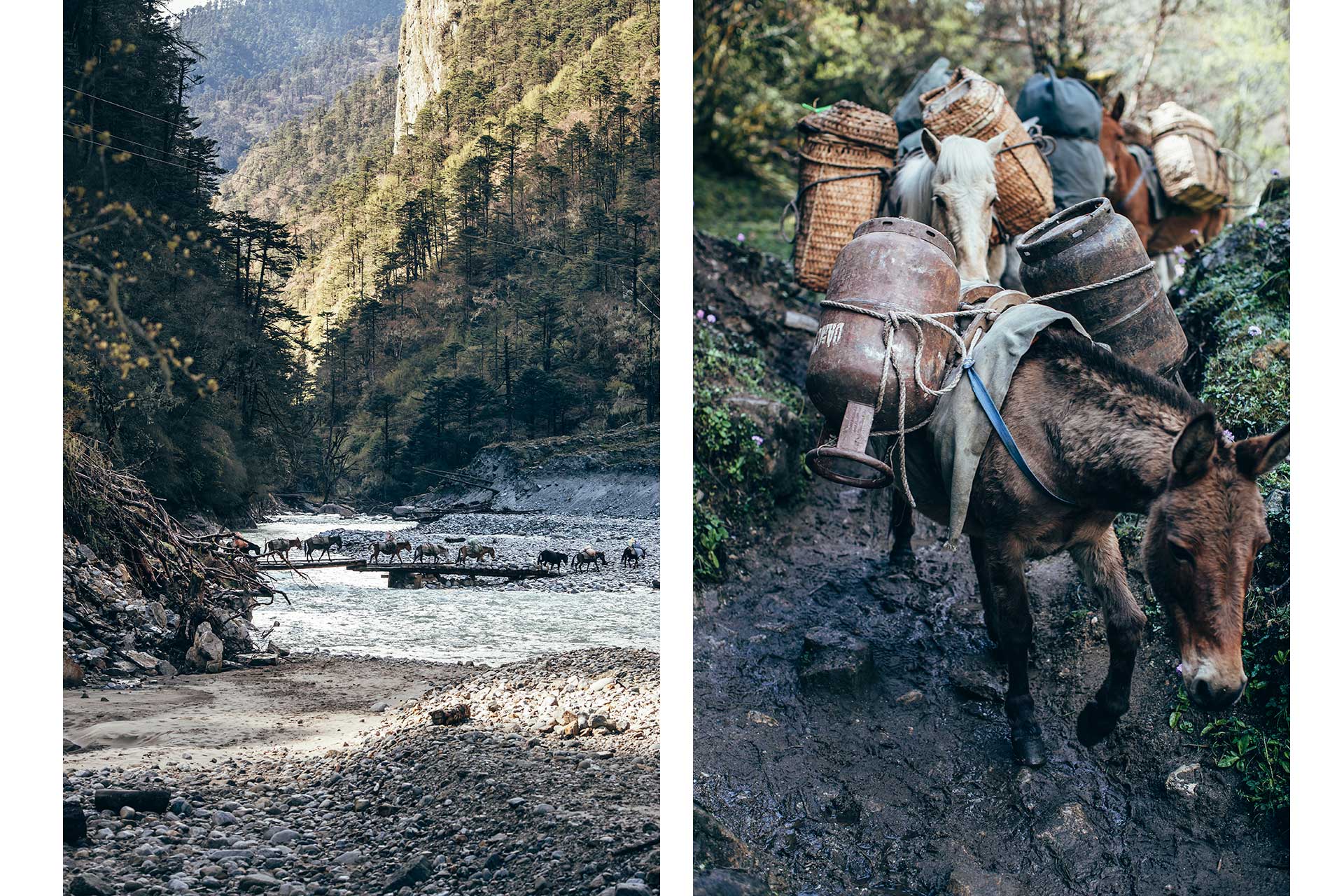 Reise Fotograf Travel Fluss Trekking Bhutan Berlin Deutschland