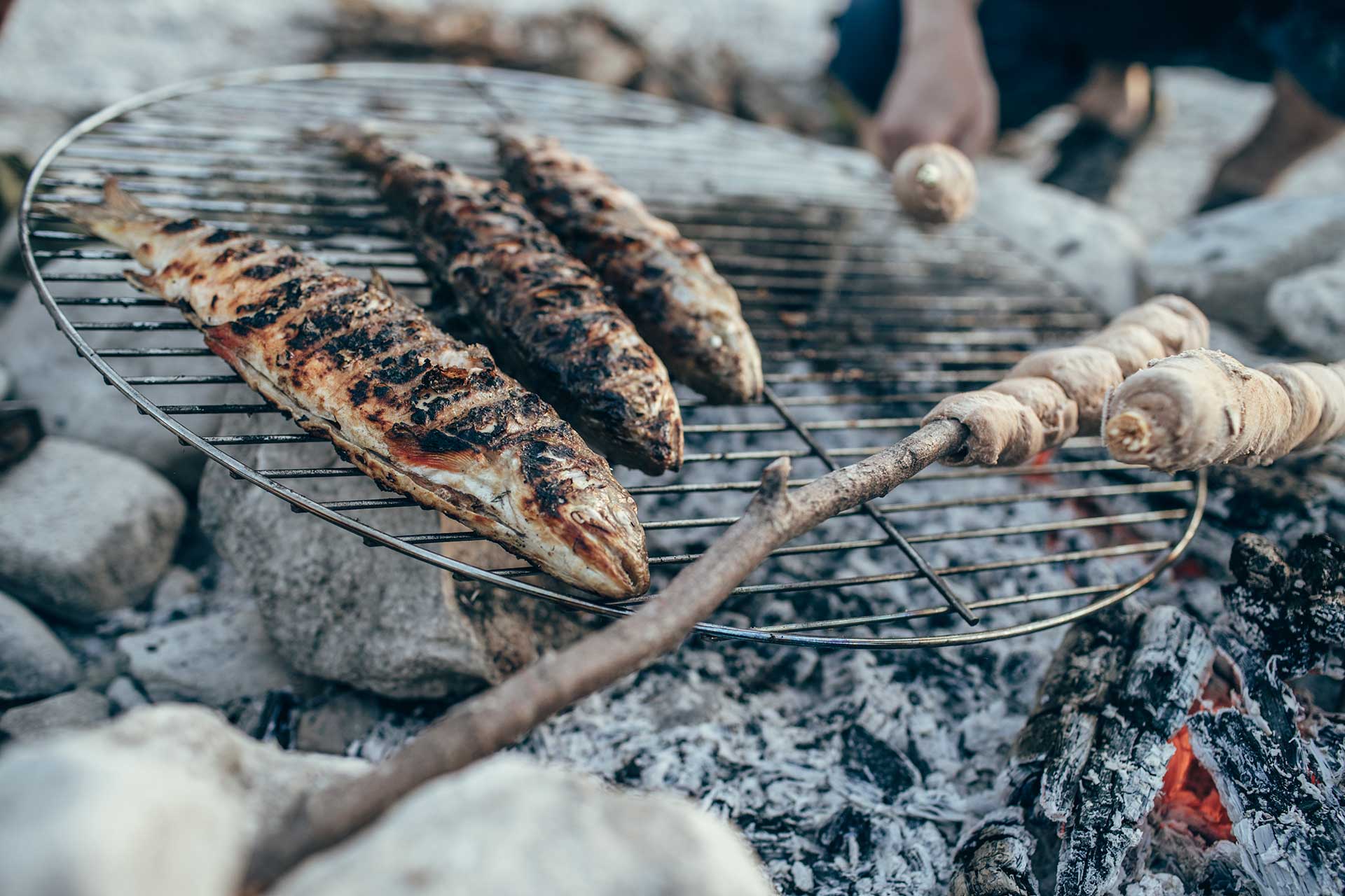 Kochen Lagerfeuer Lifestyle Fisch Grillen Michael Müller Outdoor Salzburg