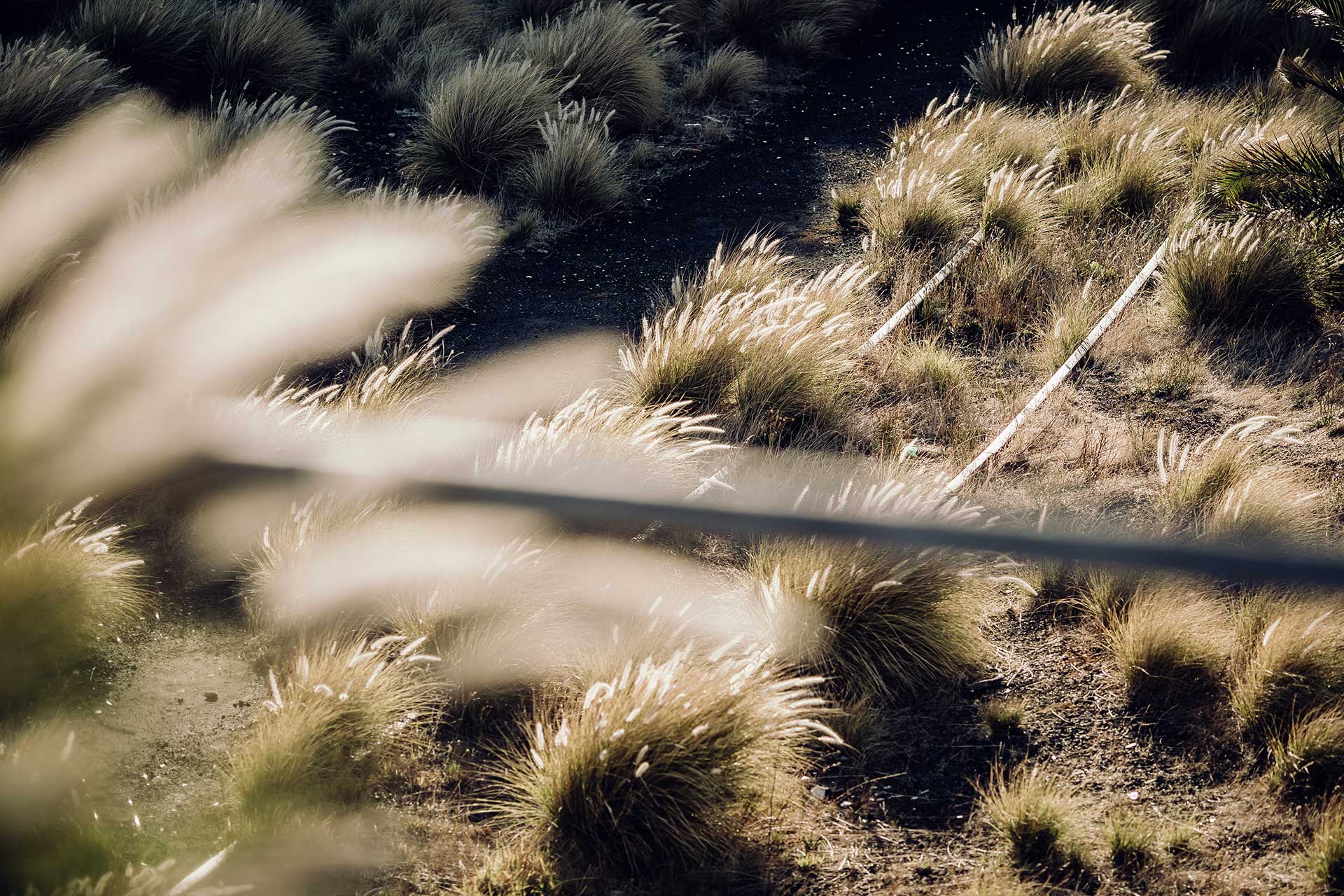 Fotograf Detail Landschaft Gegenlicht Training Outdoor Sport Südafrika