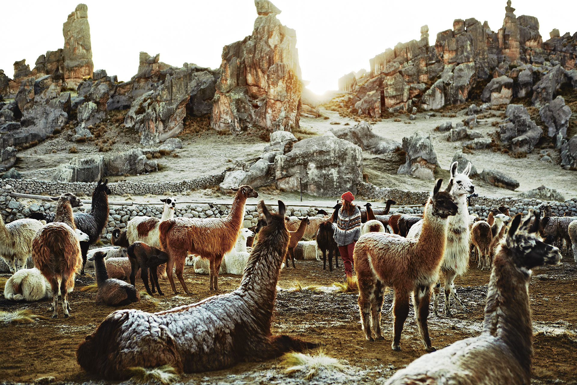 Peru Reise Fotograf Landschaft Lama Streetwear Pass Straße Deutschland