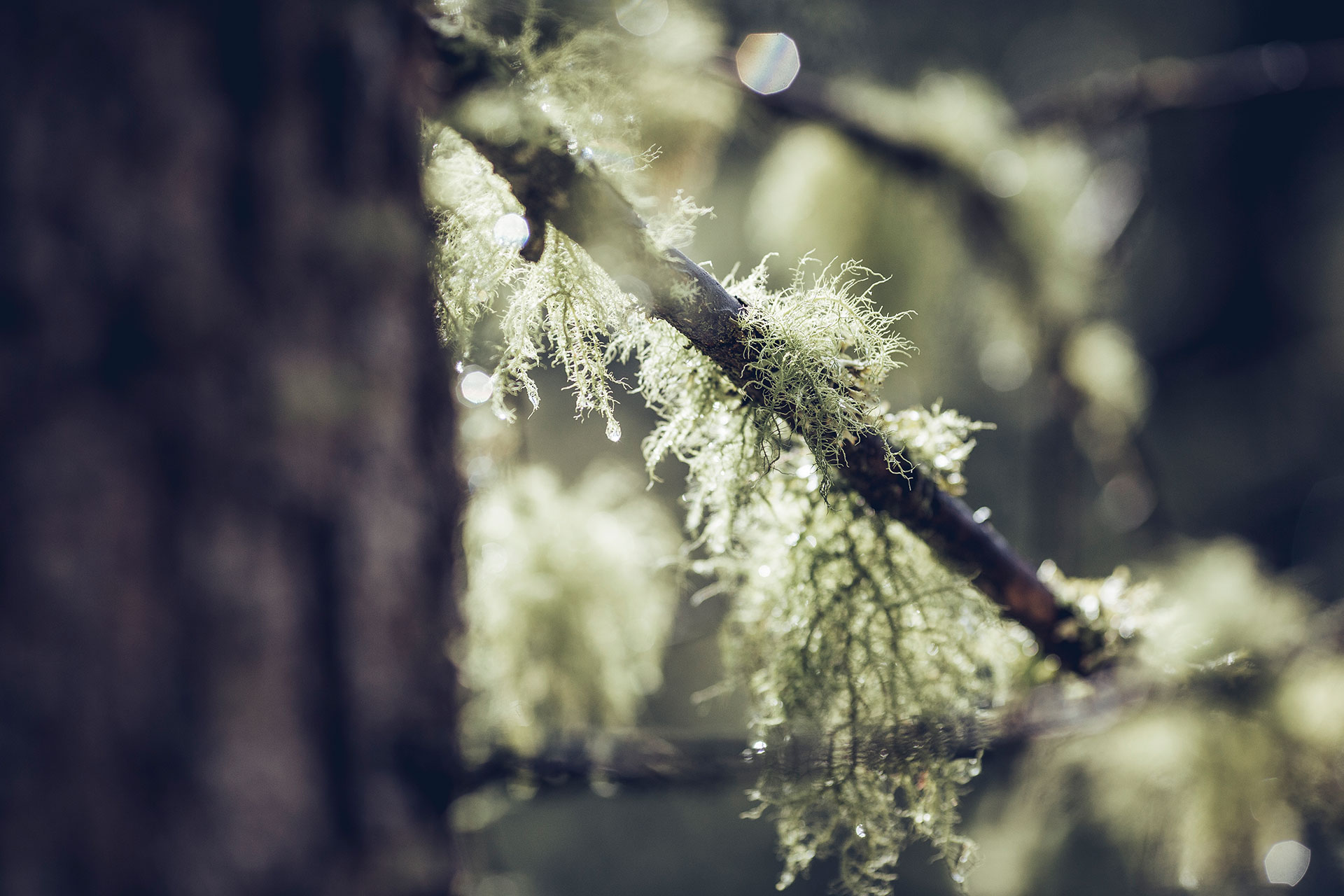 Detail Natur Fotograf Mountainbike Sport Outdoor Hamburg